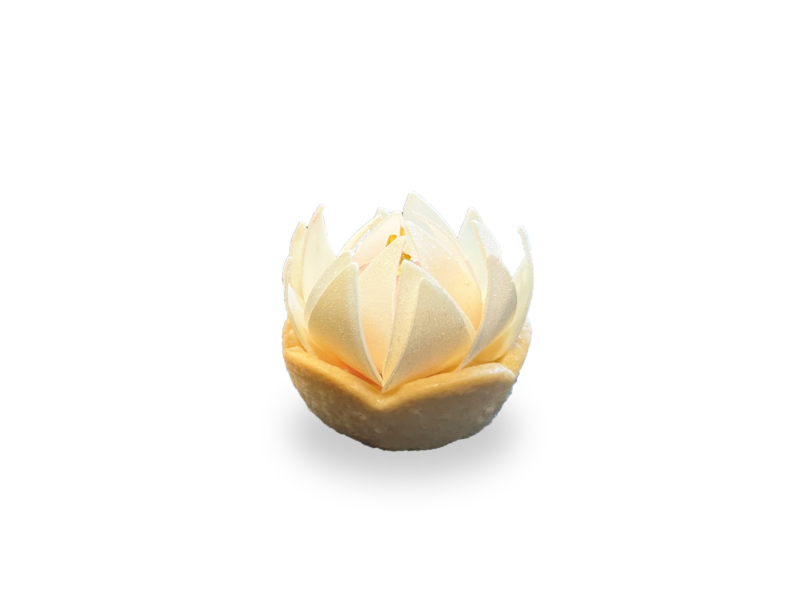 Water lily tarts