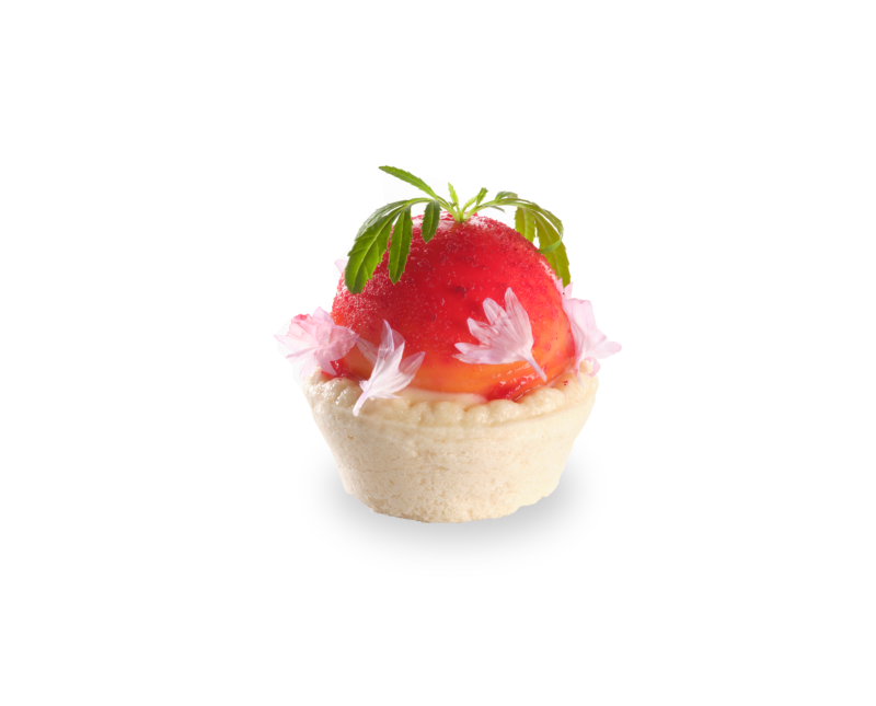 Burrata, sour cream, tomato tarts